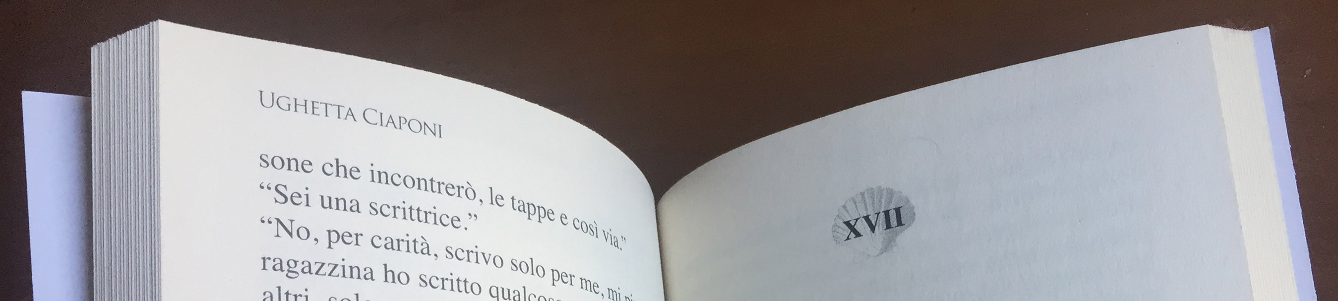 Book – “Il mio cammino verso Santiago”